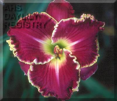 Larry Allen Miller